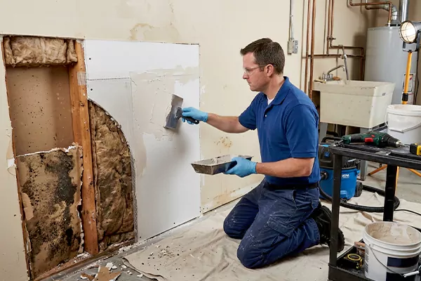 Mold and Drywall Repair Eastvale