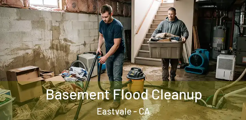  Basement Flood Cleanup Eastvale - CA