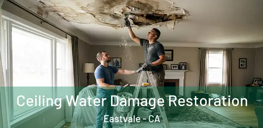 Ceiling Water Damage Restoration Eastvale - CA