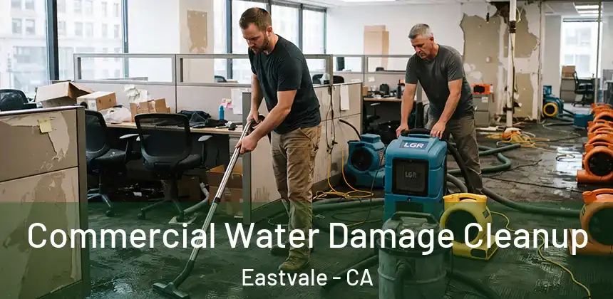  Commercial Water Damage Cleanup Eastvale - CA