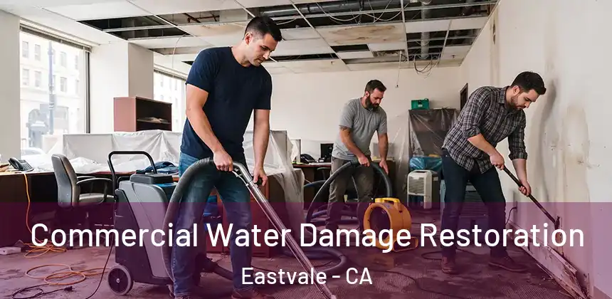  Commercial Water Damage Restoration Eastvale - CA