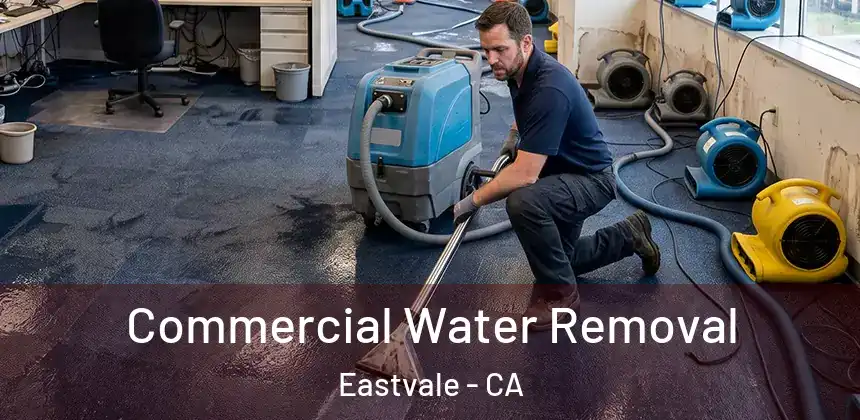  Commercial Water Removal Eastvale - CA