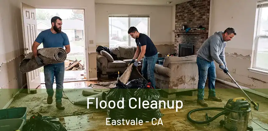  Flood Cleanup Eastvale - CA