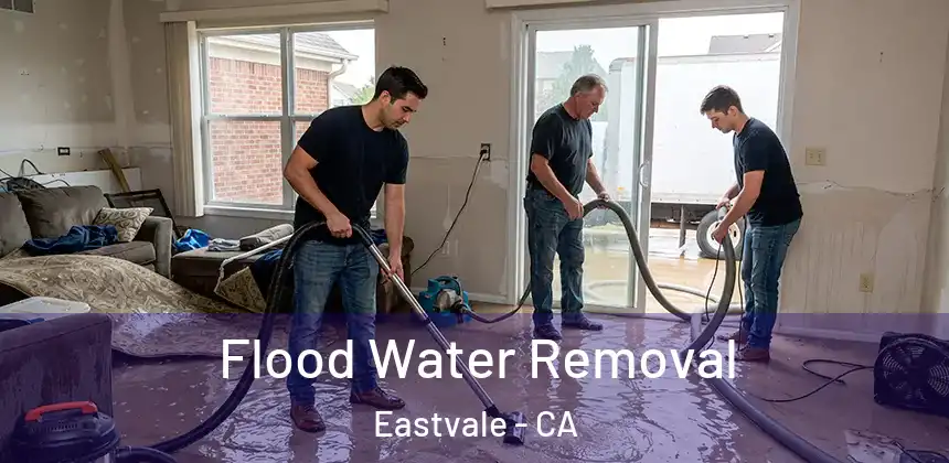  Flood Water Removal Eastvale - CA