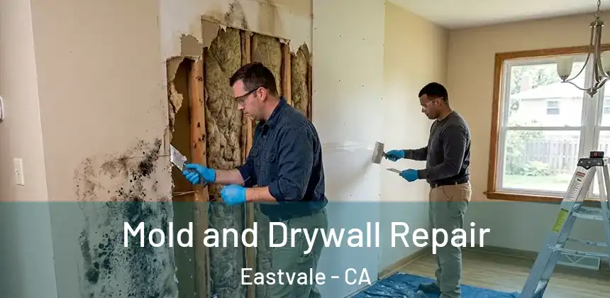  Mold and Drywall Repair Eastvale - CA