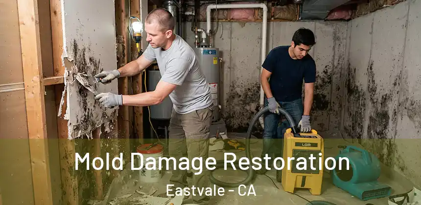  Mold Damage Restoration Eastvale - CA