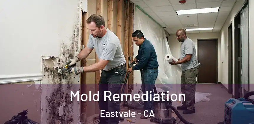  Mold Remediation Eastvale - CA