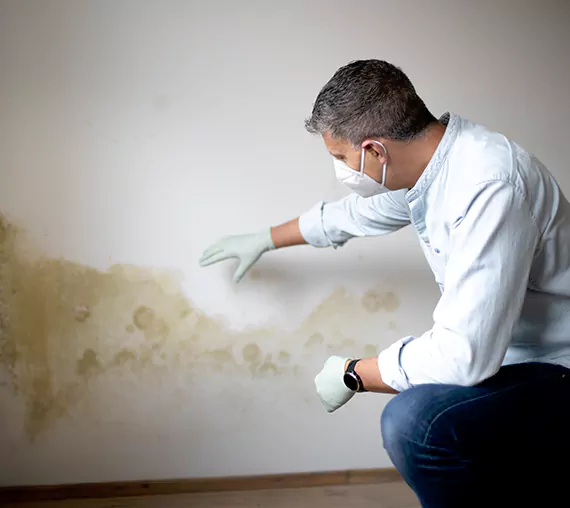 Mold Removal Service in Eastvale, CA