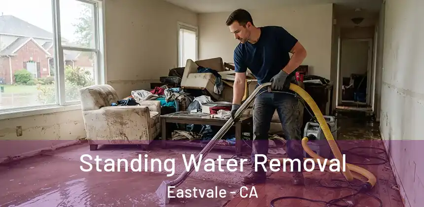 Standing Water Removal Eastvale - CA