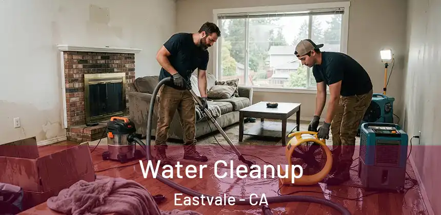  Water Cleanup Eastvale - CA