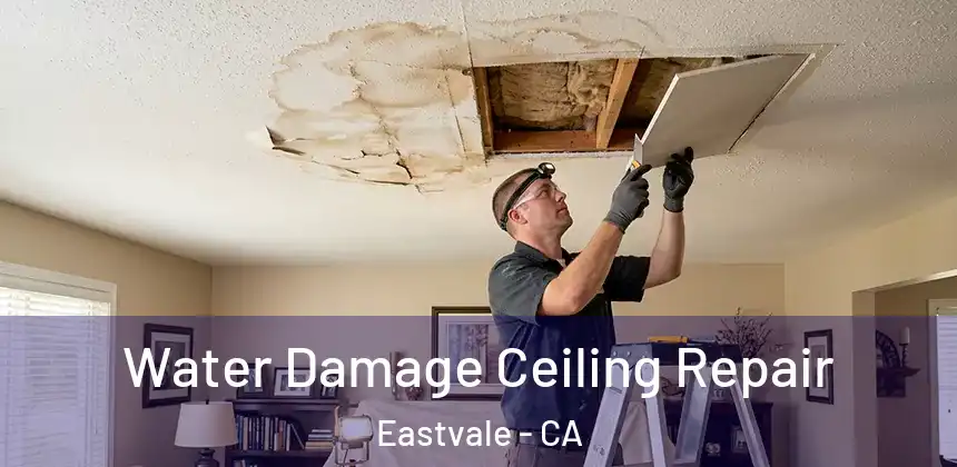  Water Damage Ceiling Repair Eastvale - CA