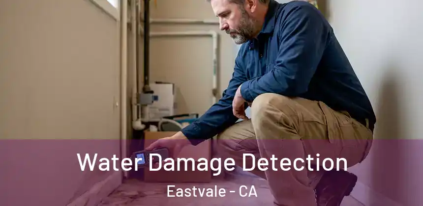  Water Damage Detection Eastvale - CA
