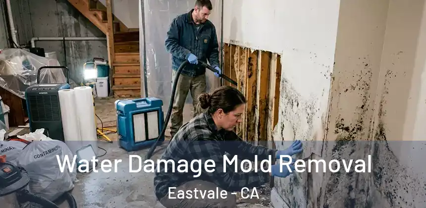  Water Damage Mold Removal Eastvale - CA