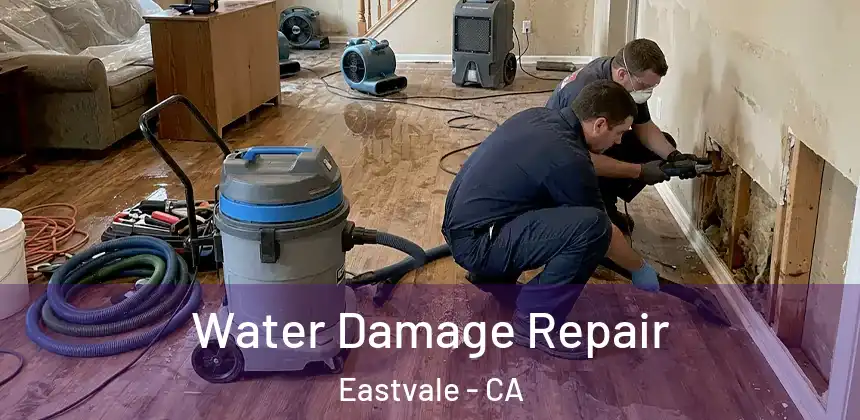  Water Damage Repair Eastvale - CA