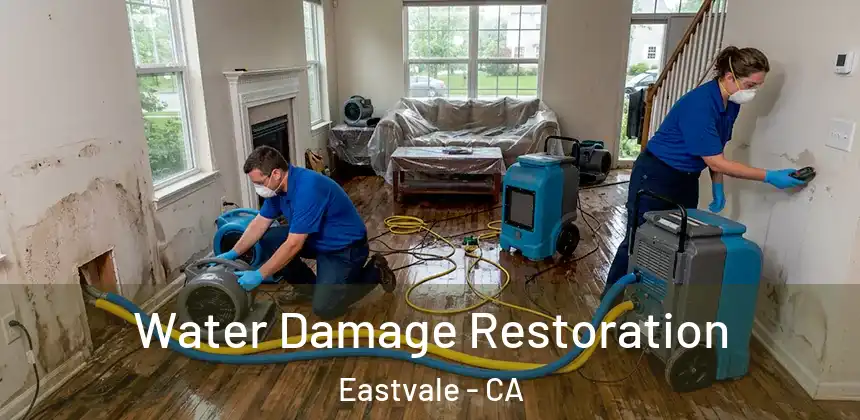  Water Damage Restoration Eastvale - CA