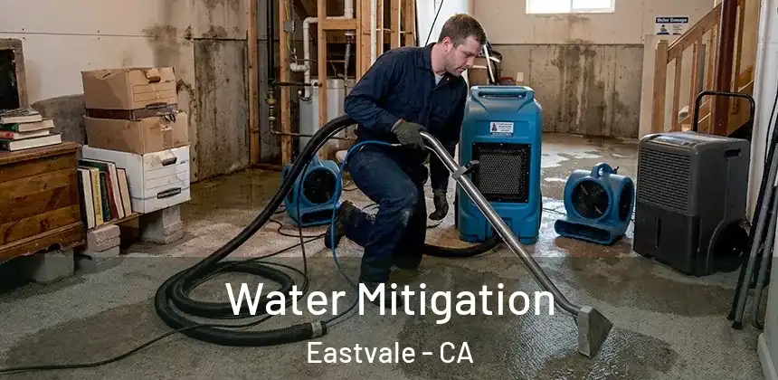  Water Mitigation Eastvale - CA