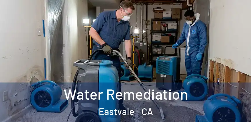  Water Remediation Eastvale - CA