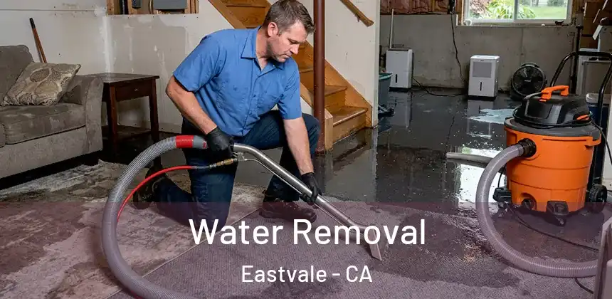  Water Removal Eastvale - CA
